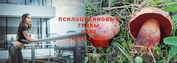 сатива Зеленодольск