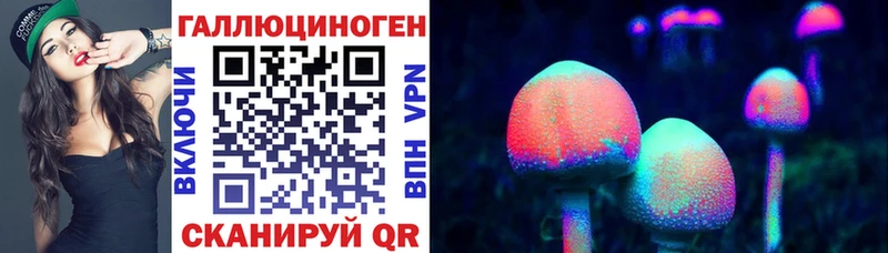 Галлюциногенные грибы GOLDEN TEACHER  Купить закладки  Данилов 